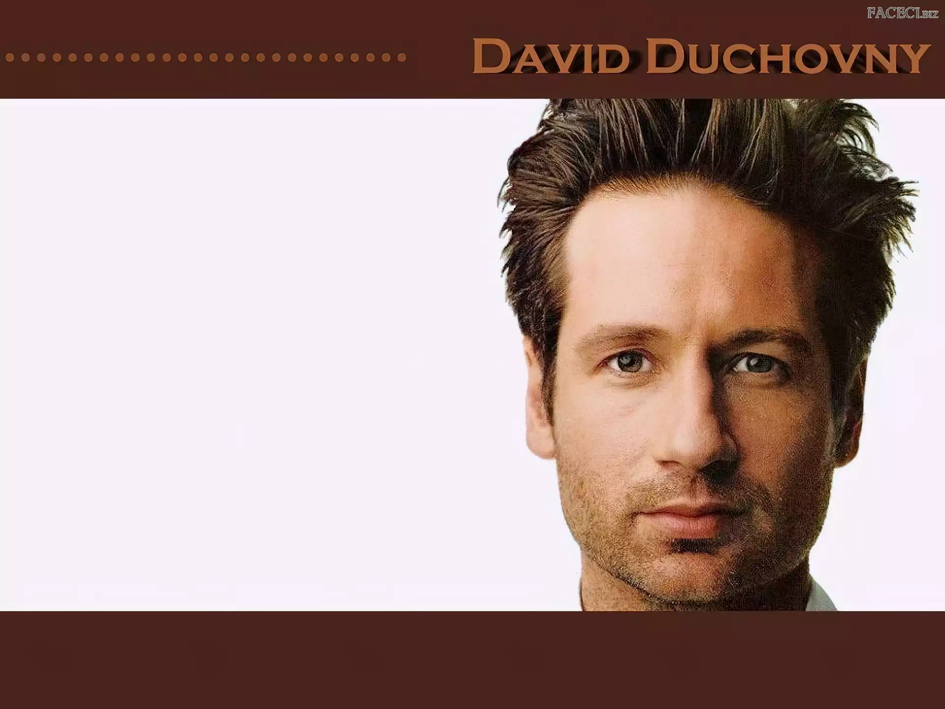 niebieskie oczy, David Duchovny, brązowe włosy